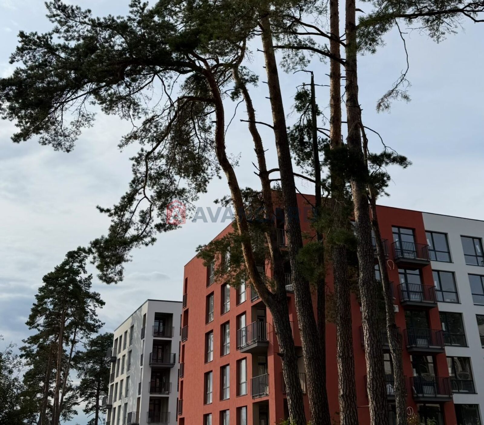 Торговая площадь, Кафе, бар, ресторан, Сфера услуг, 33 кв.м. фото 15 Торговая площадь, Кафе, бар, ресторан, Сфера услуг, 33 кв.м. фото 15