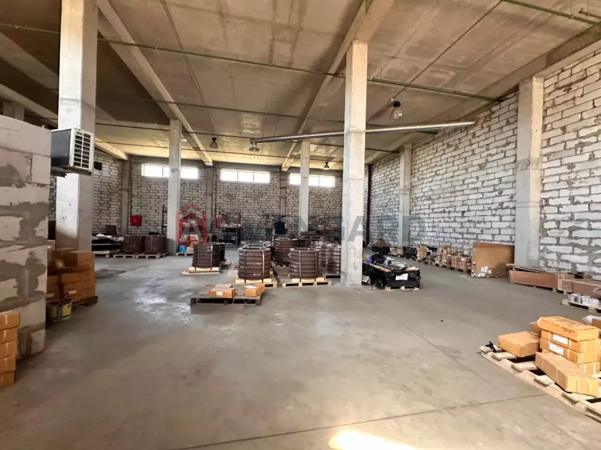 Сфера услуг, 1500 кв.м. фото 12 Сфера услуг, 1500 кв.м. фото 12