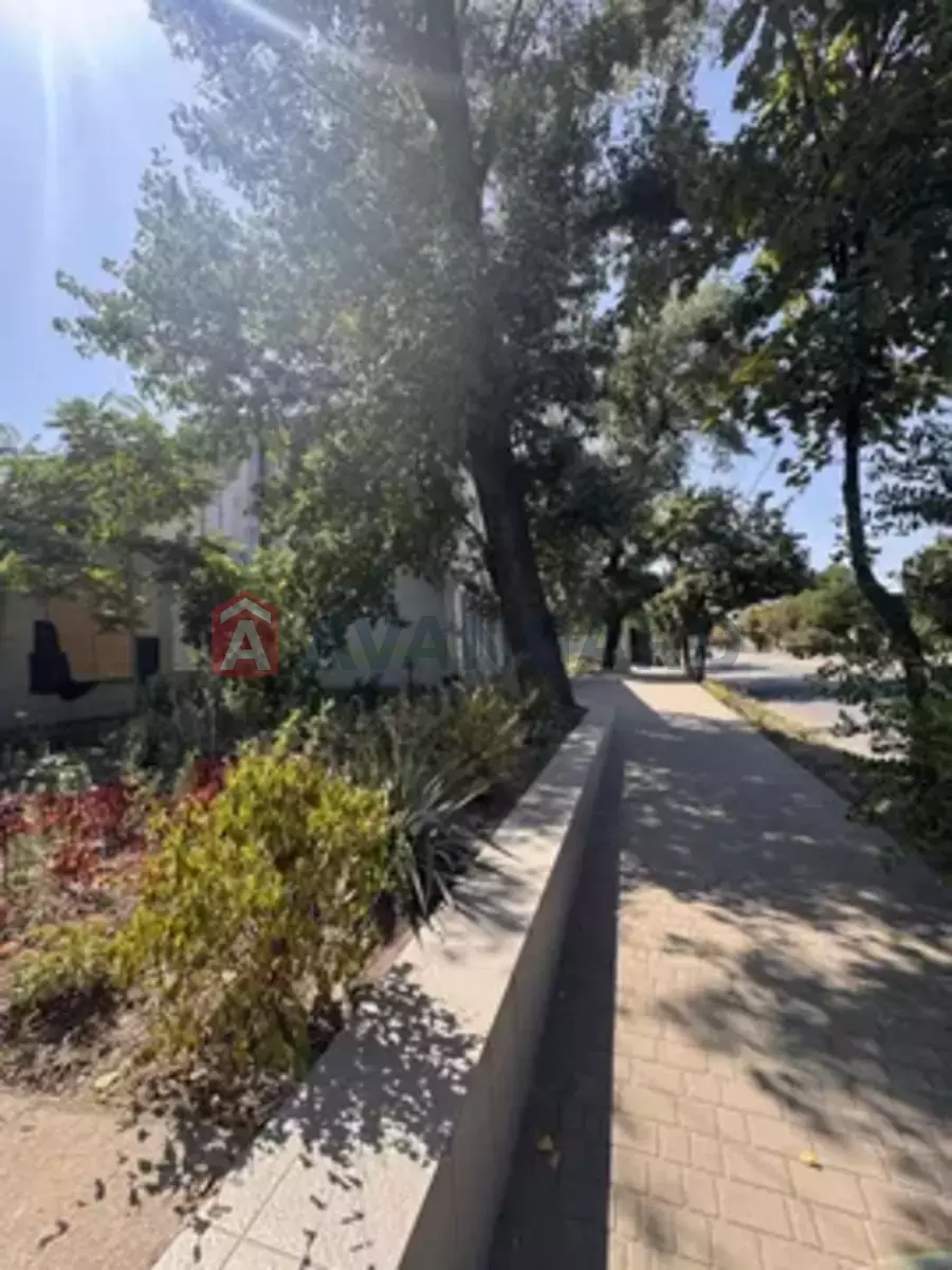 Торговая площадь, 109 кв.м. фото 13 Торговая площадь, 109 кв.м. фото 13