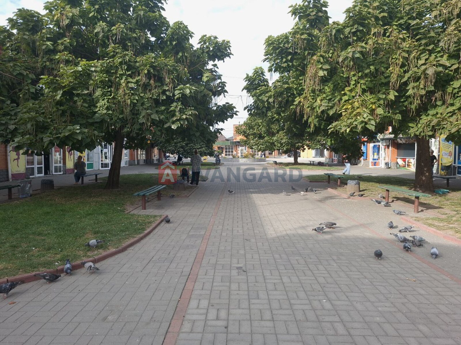 Торгівельна площа, Кафе, бар, ресторан, Сфера послуг, 200 кв.м. фото 10 Торгівельна площа, Кафе, бар, ресторан, Сфера послуг, 200 кв.м. фото 10