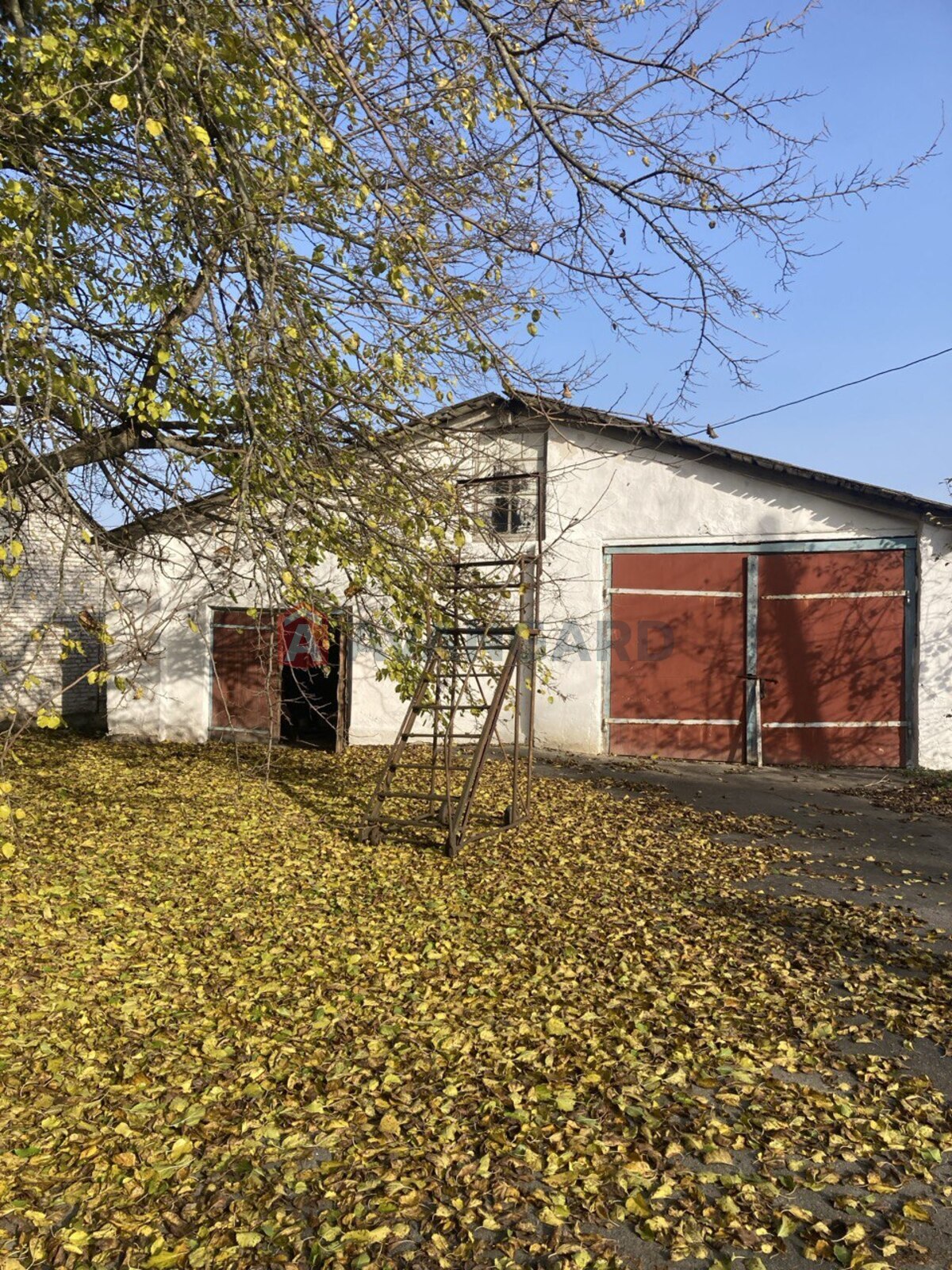 Торговая площадь, 625 кв.м. фото 1 Торговая площадь, 625 кв.м. фото 1