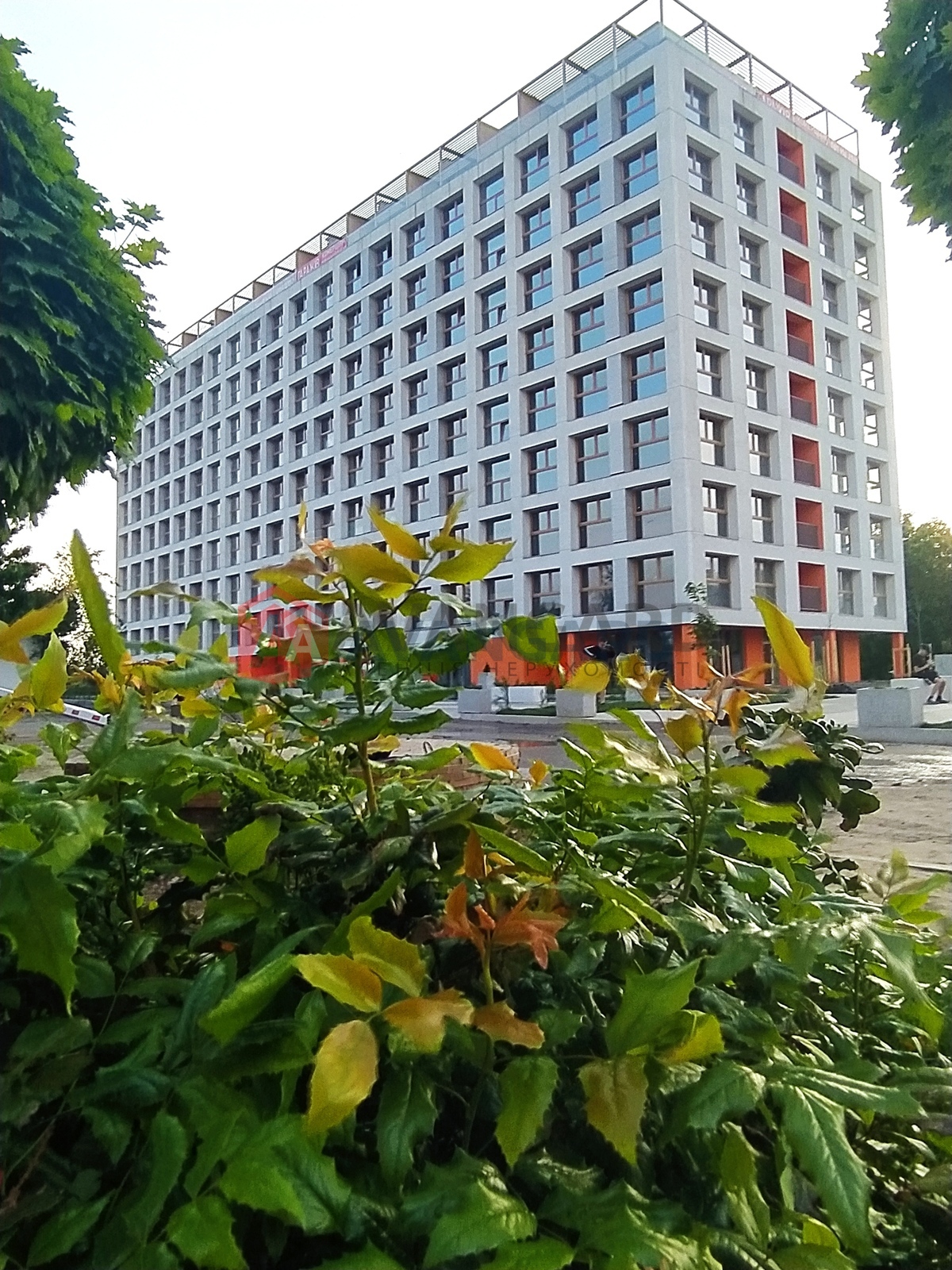 Торгівельна площа, Кафе, бар, ресторан, Сфера послуг, 53 кв.м. фото 3 Торгівельна площа, Кафе, бар, ресторан, Сфера послуг, 53 кв.м. фото 3