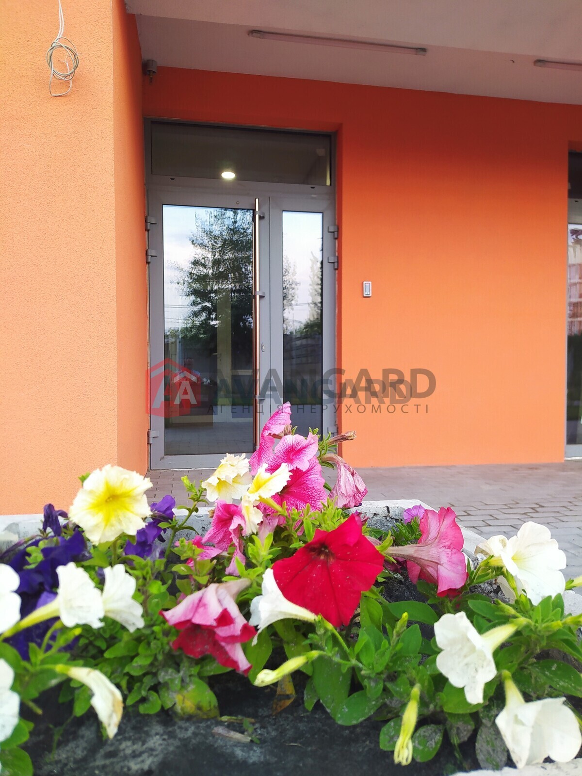 Торгівельна площа, Кафе, бар, ресторан, Сфера послуг, 53 кв.м. фото 4 Торгівельна площа, Кафе, бар, ресторан, Сфера послуг, 53 кв.м. фото 4