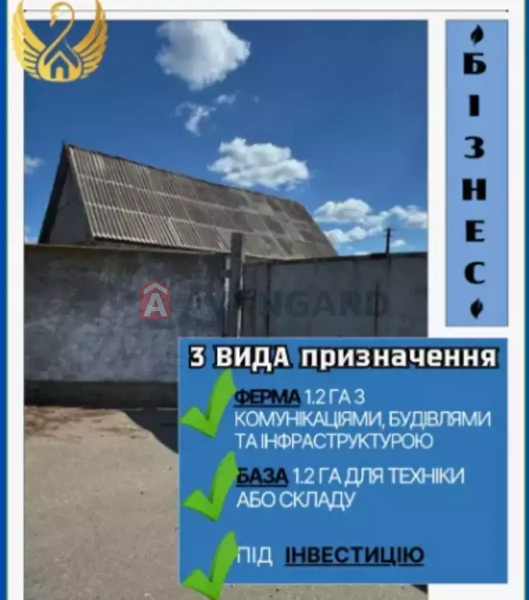 фото 1 фото 1