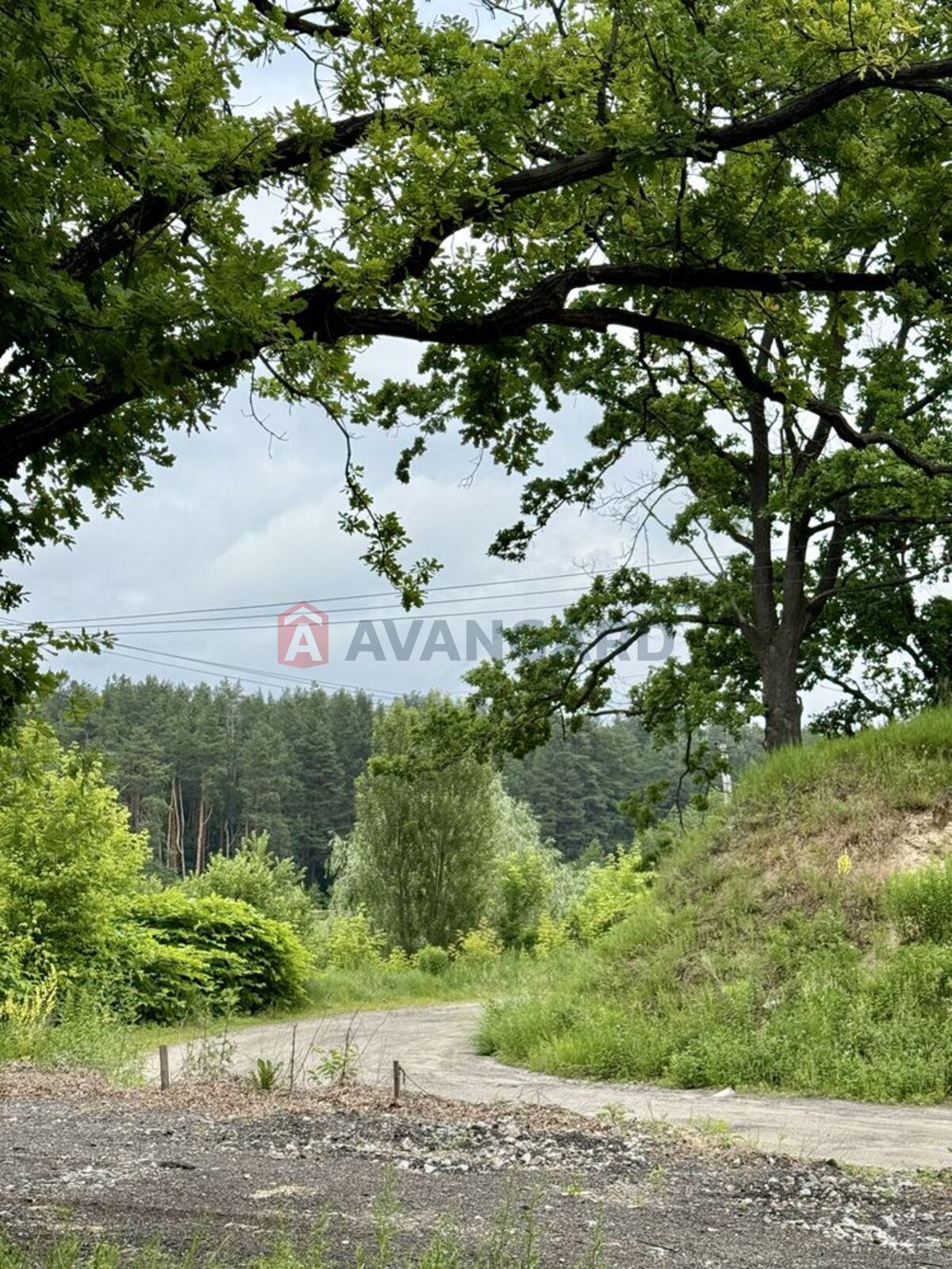 Земельна ділянка фото 7 Земельна ділянка фото 7