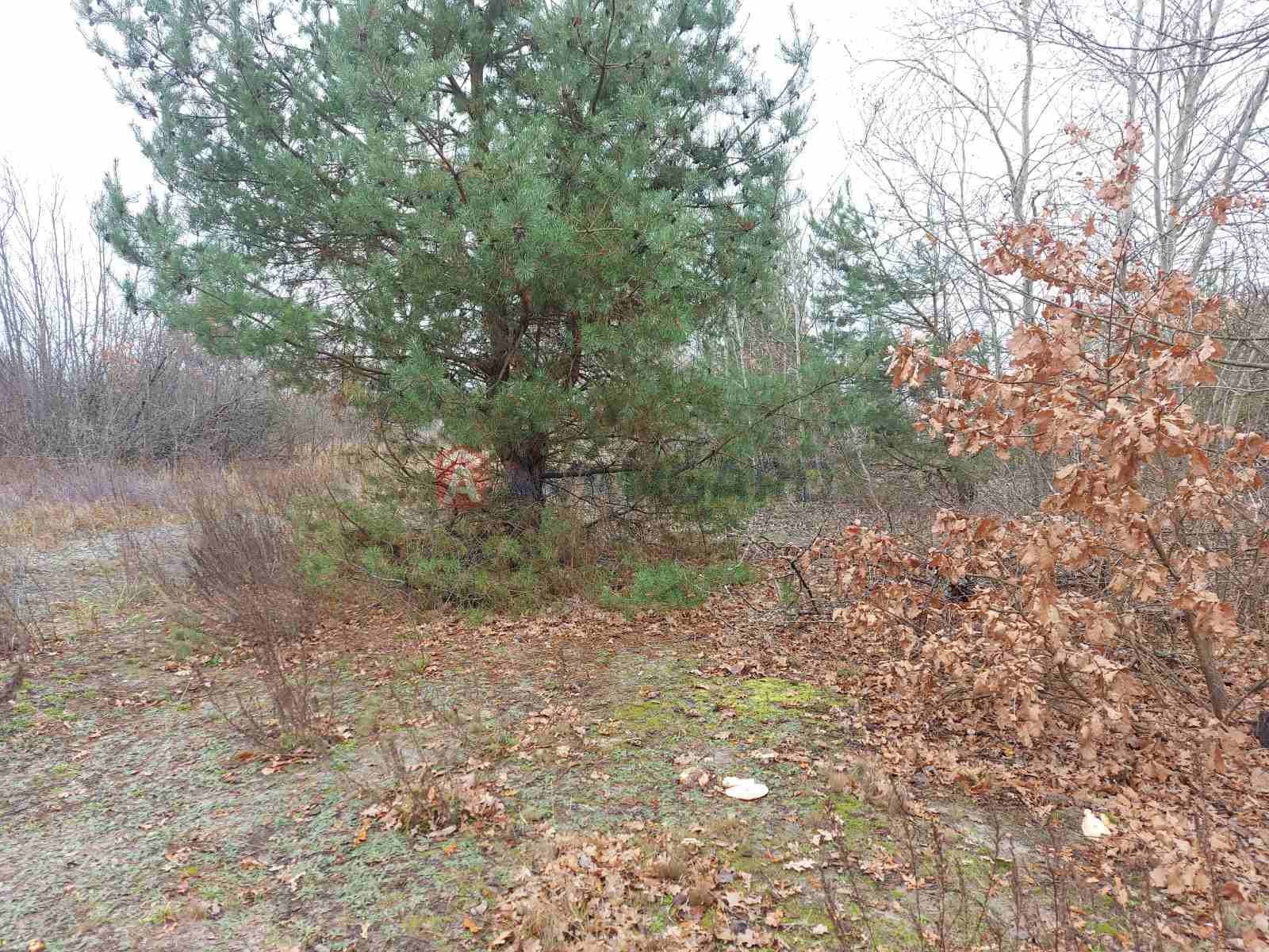 Земельна ділянка фото 13 Земельна ділянка фото 13