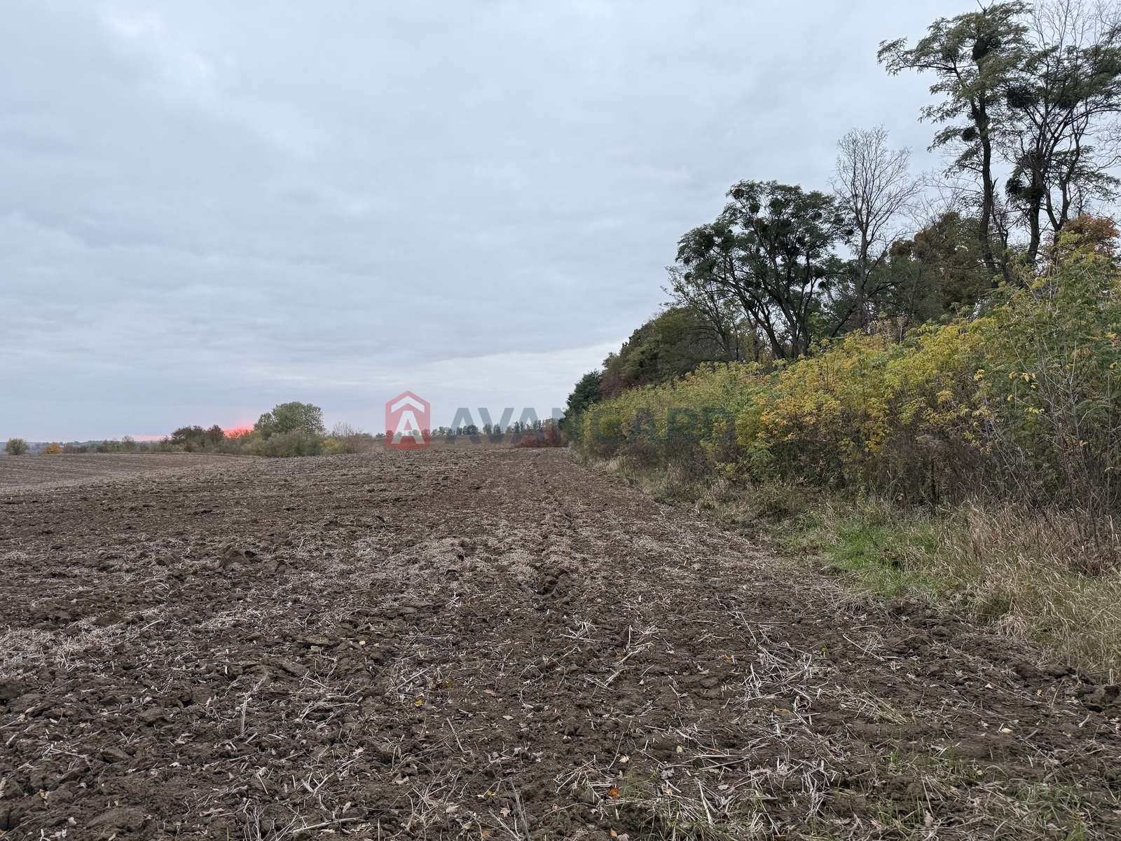 Земельный участок фото 1 Земельный участок фото 1