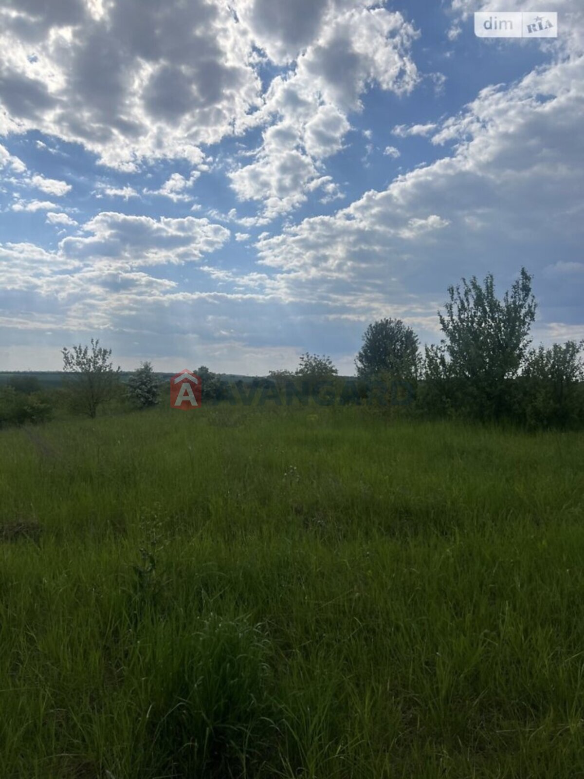 Земельна ділянка фото 3 Земельна ділянка фото 3