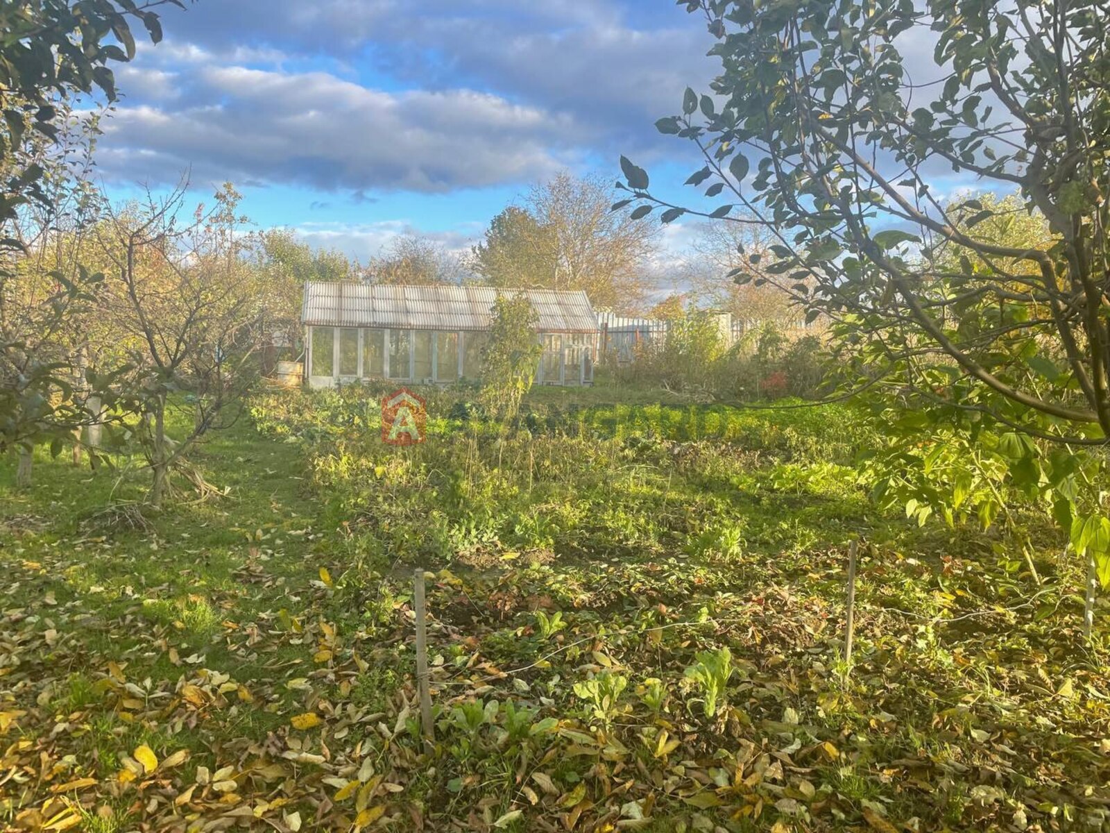 Земельна ділянка фото 2 Земельна ділянка фото 2