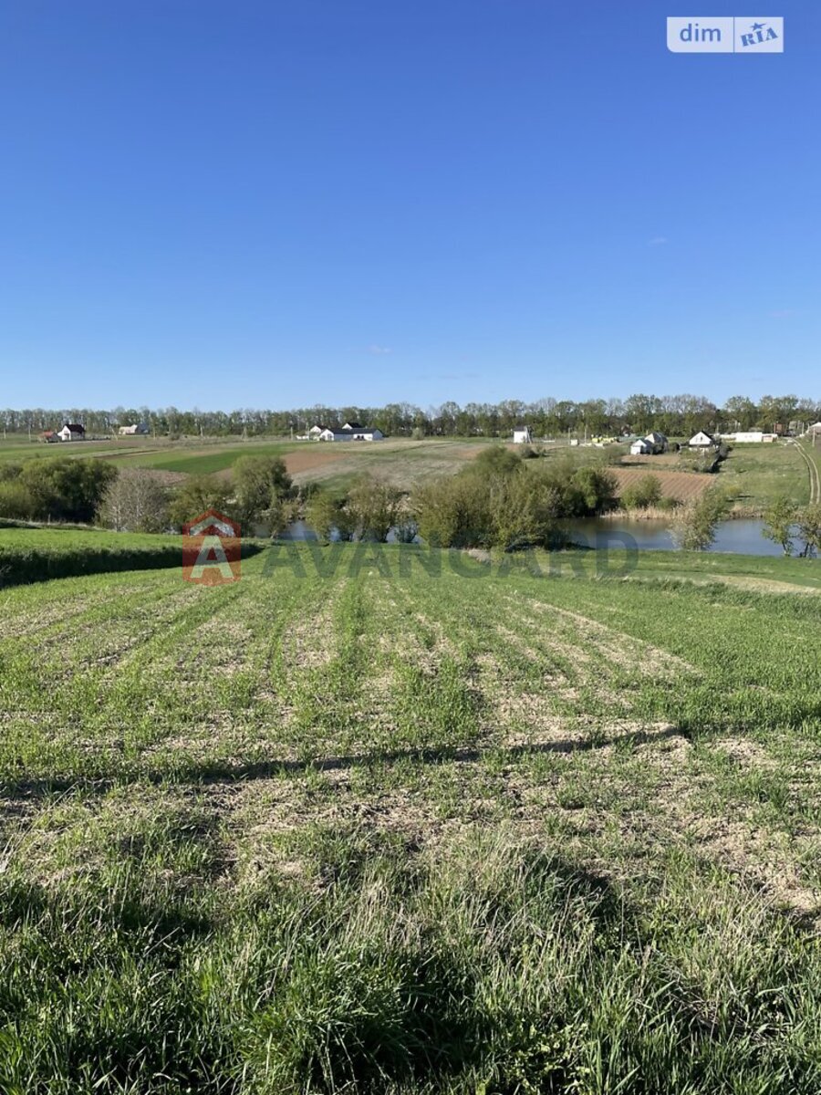 Земельный участок фото 1 Земельный участок фото 1