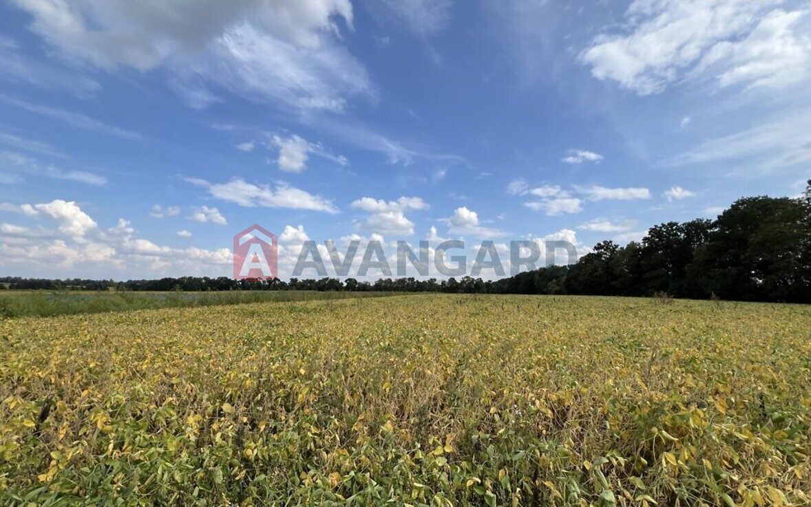 Земельный участок фото 3 Земельный участок фото 3