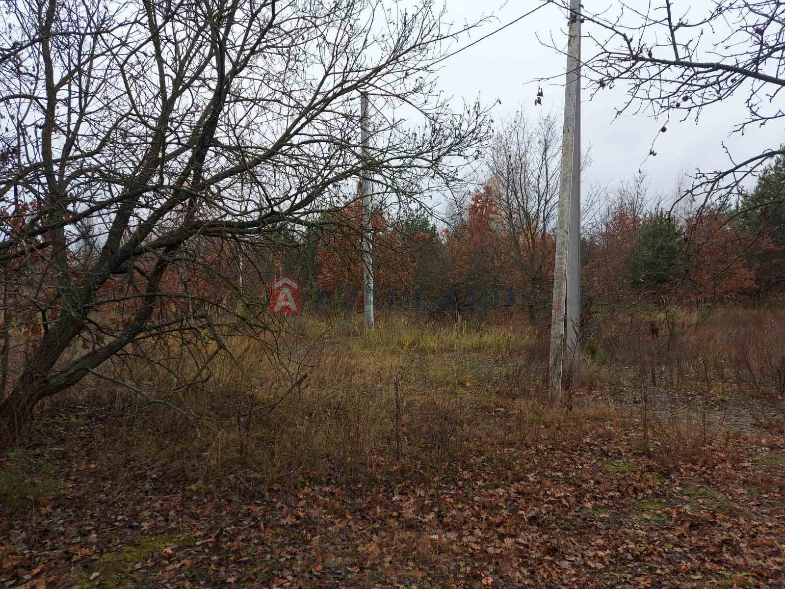 Земельна ділянка фото 1 Земельна ділянка фото 1