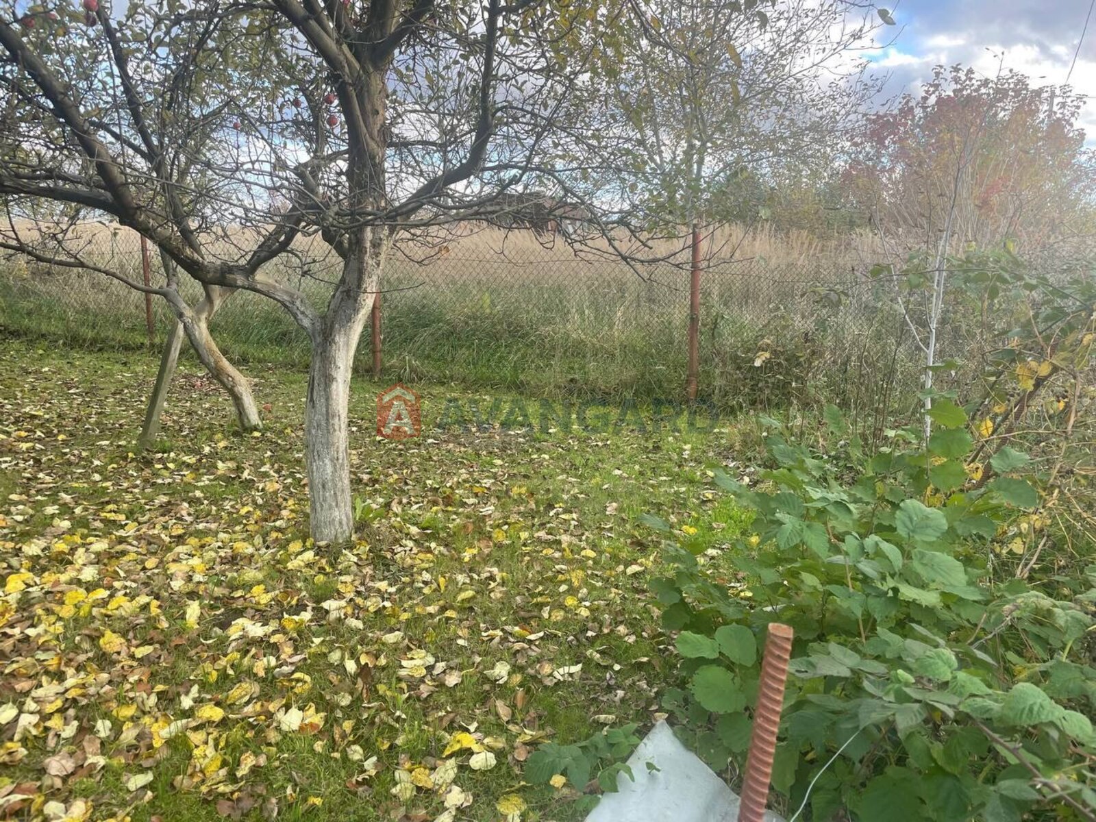 Земельна ділянка фото 5 Земельна ділянка фото 5