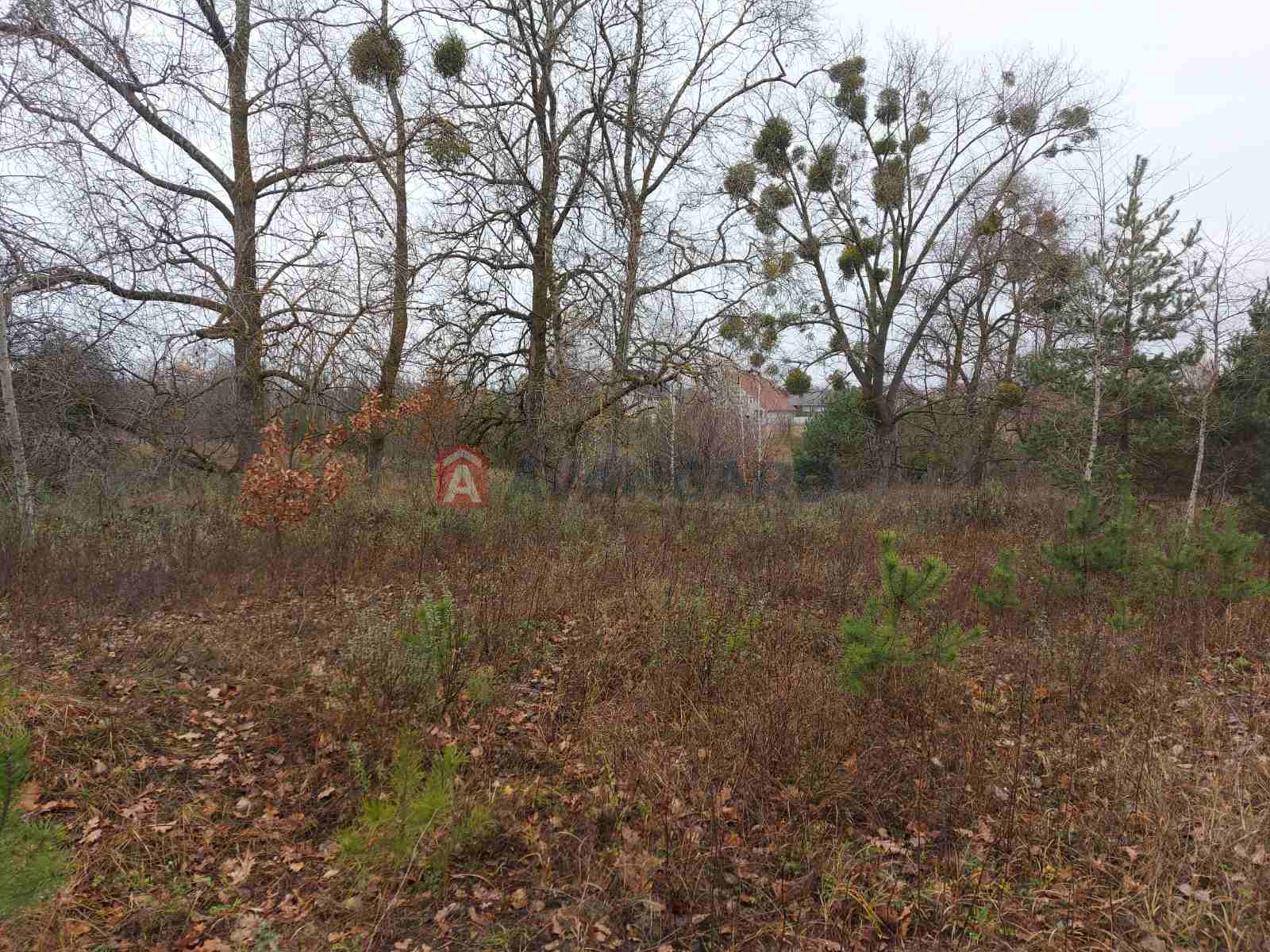 Земельна ділянка фото 15 Земельна ділянка фото 15