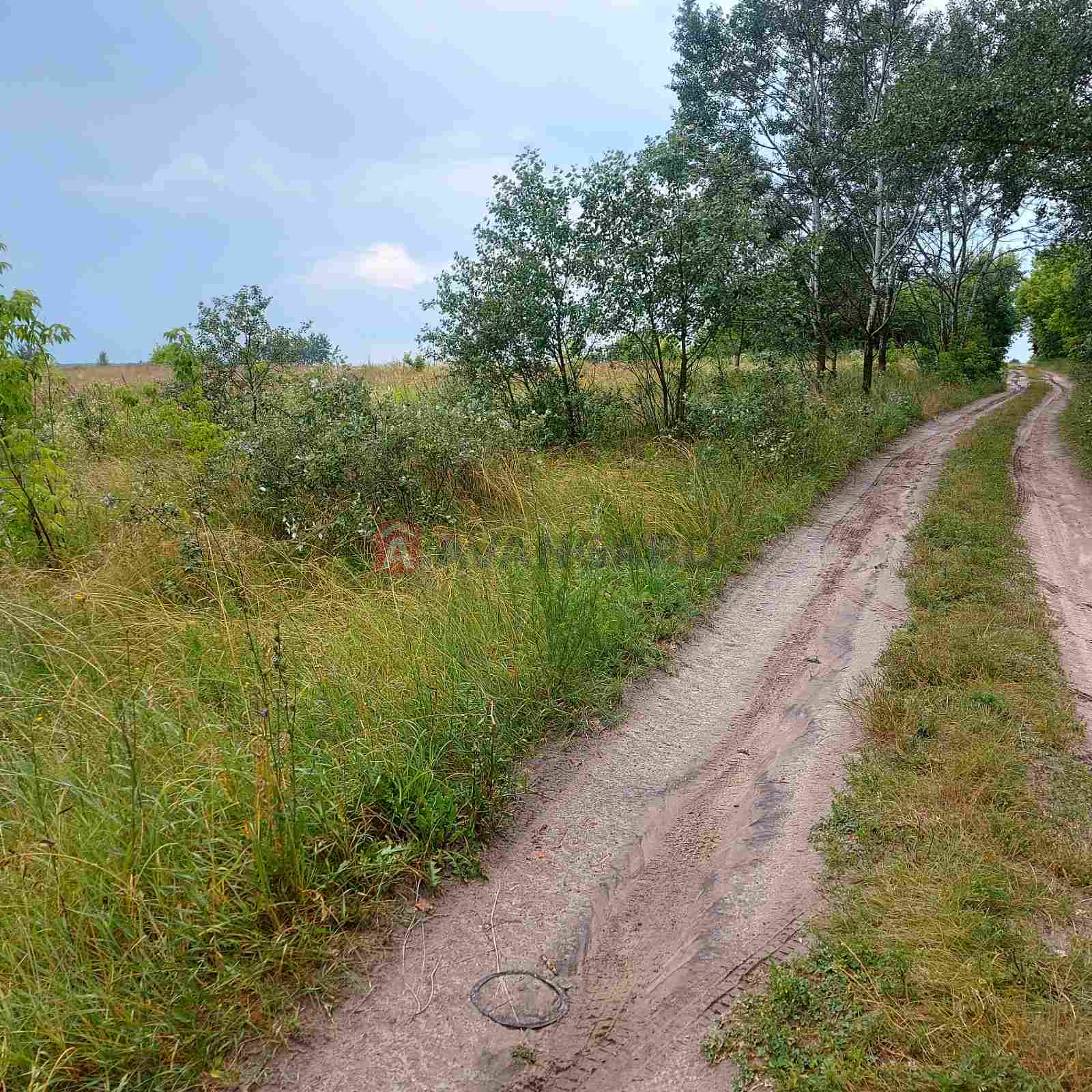 Земельна ділянка фото 5 Земельна ділянка фото 5