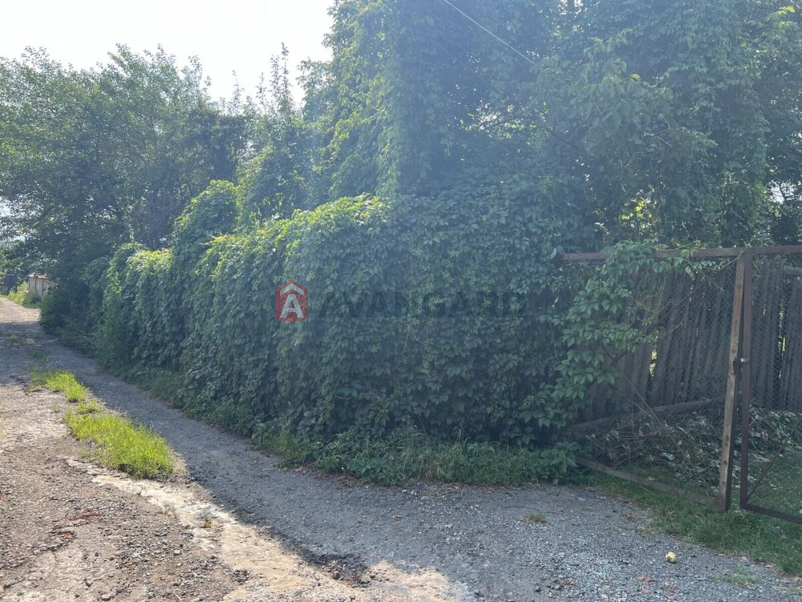 Земельна ділянка фото 7 Земельна ділянка фото 7