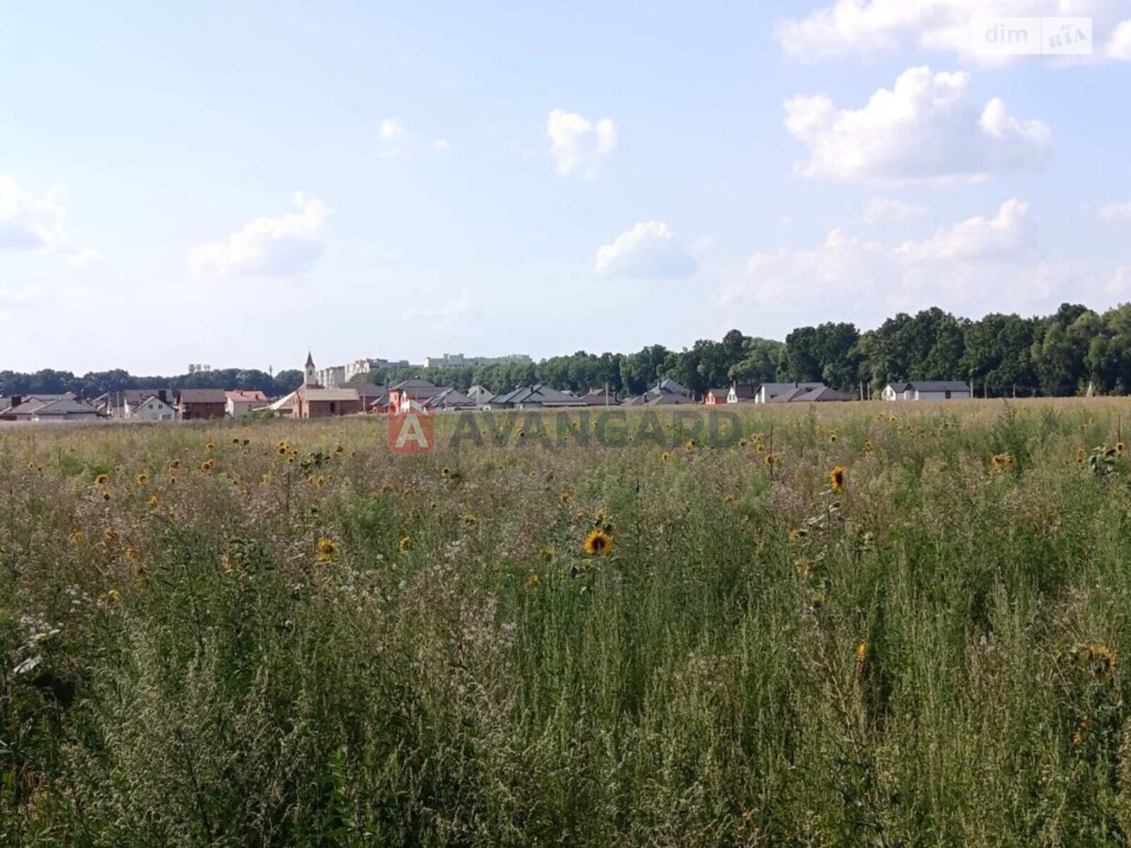 Земельна ділянка фото 1 Земельна ділянка фото 1