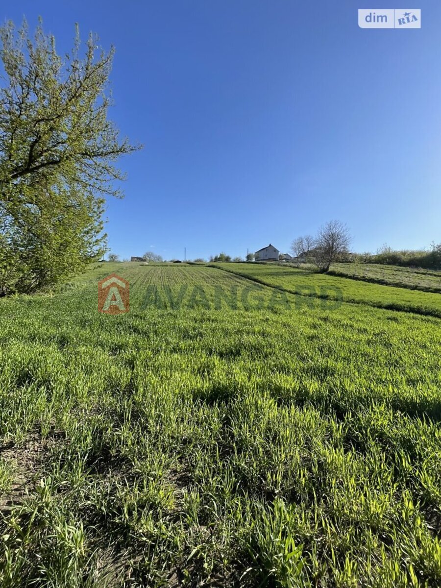 Земельный участок фото 7 Земельный участок фото 7