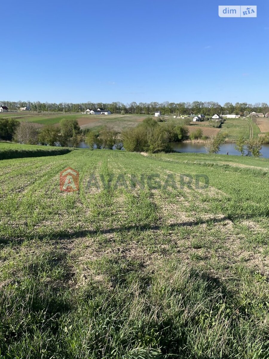 Земельный участок фото 2 Земельный участок фото 2