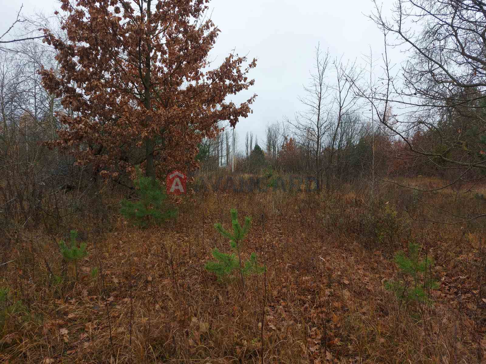 Земельна ділянка фото 14 Земельна ділянка фото 14