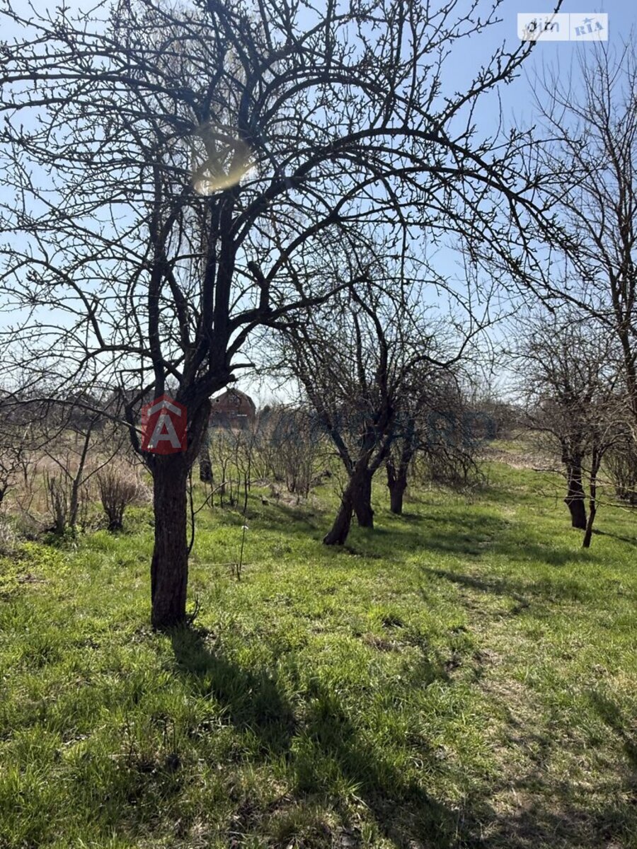 Земельна ділянка фото 11 Земельна ділянка фото 11