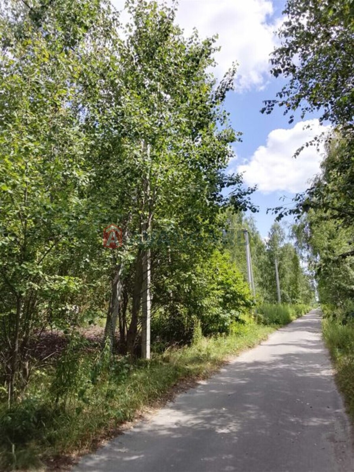 Земельна ділянка фото 2 Земельна ділянка фото 2
