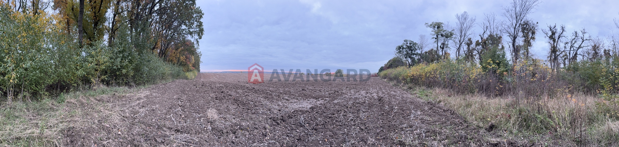 Земельный участок фото 4 Земельный участок фото 4