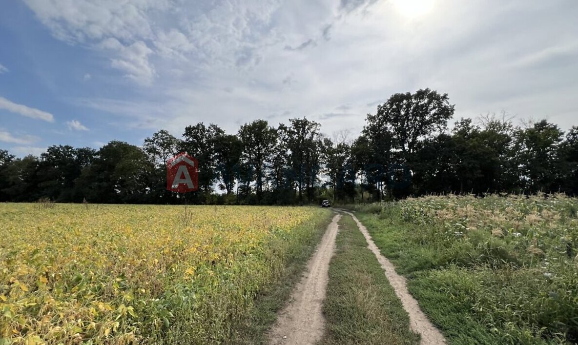 Земельный участок фото 2 Земельный участок фото 2