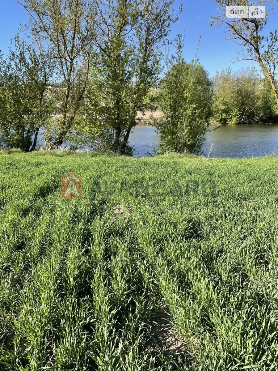 Земельный участок фото 4 Земельный участок фото 4