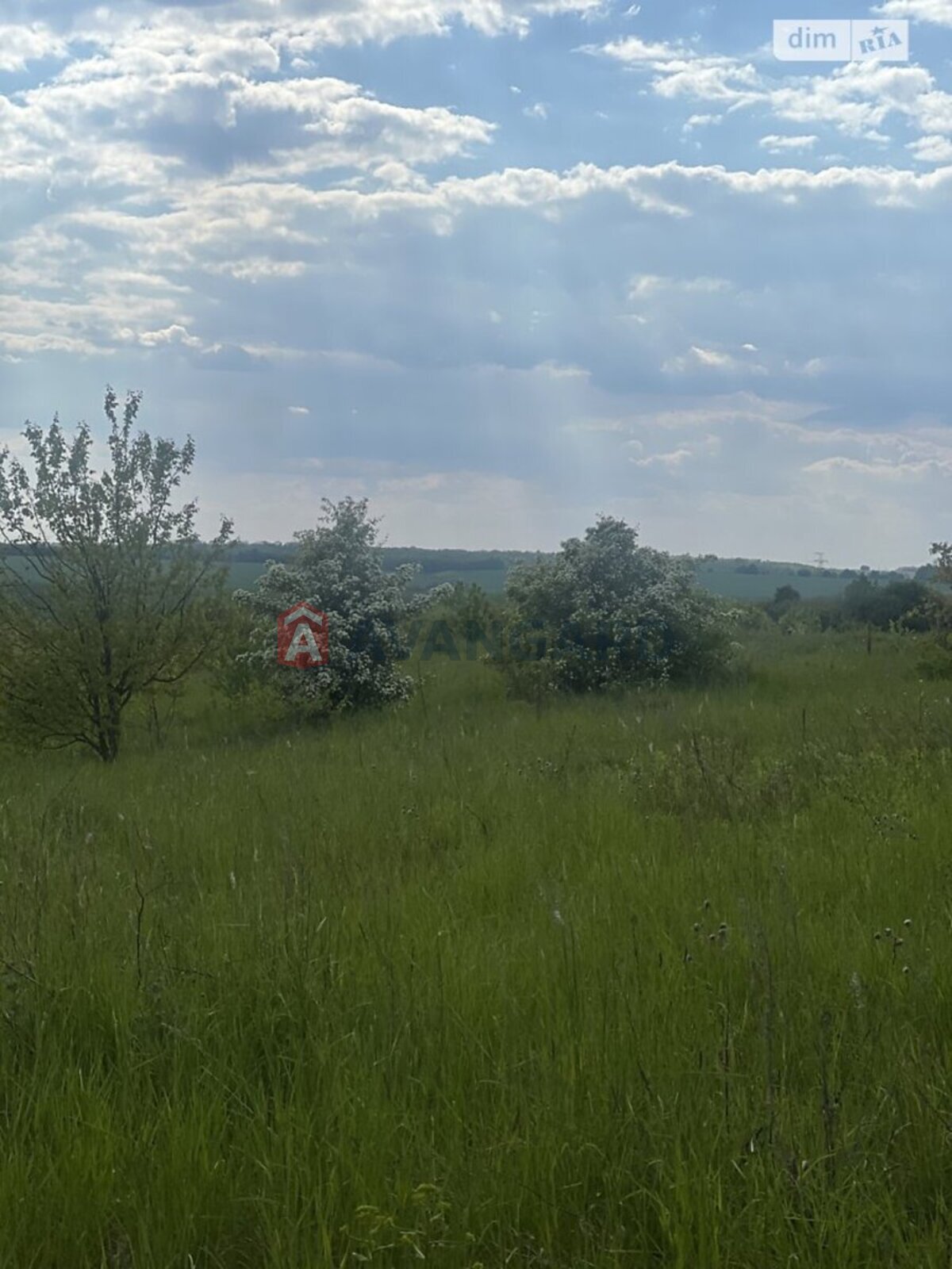 Земельна ділянка фото 4 Земельна ділянка фото 4