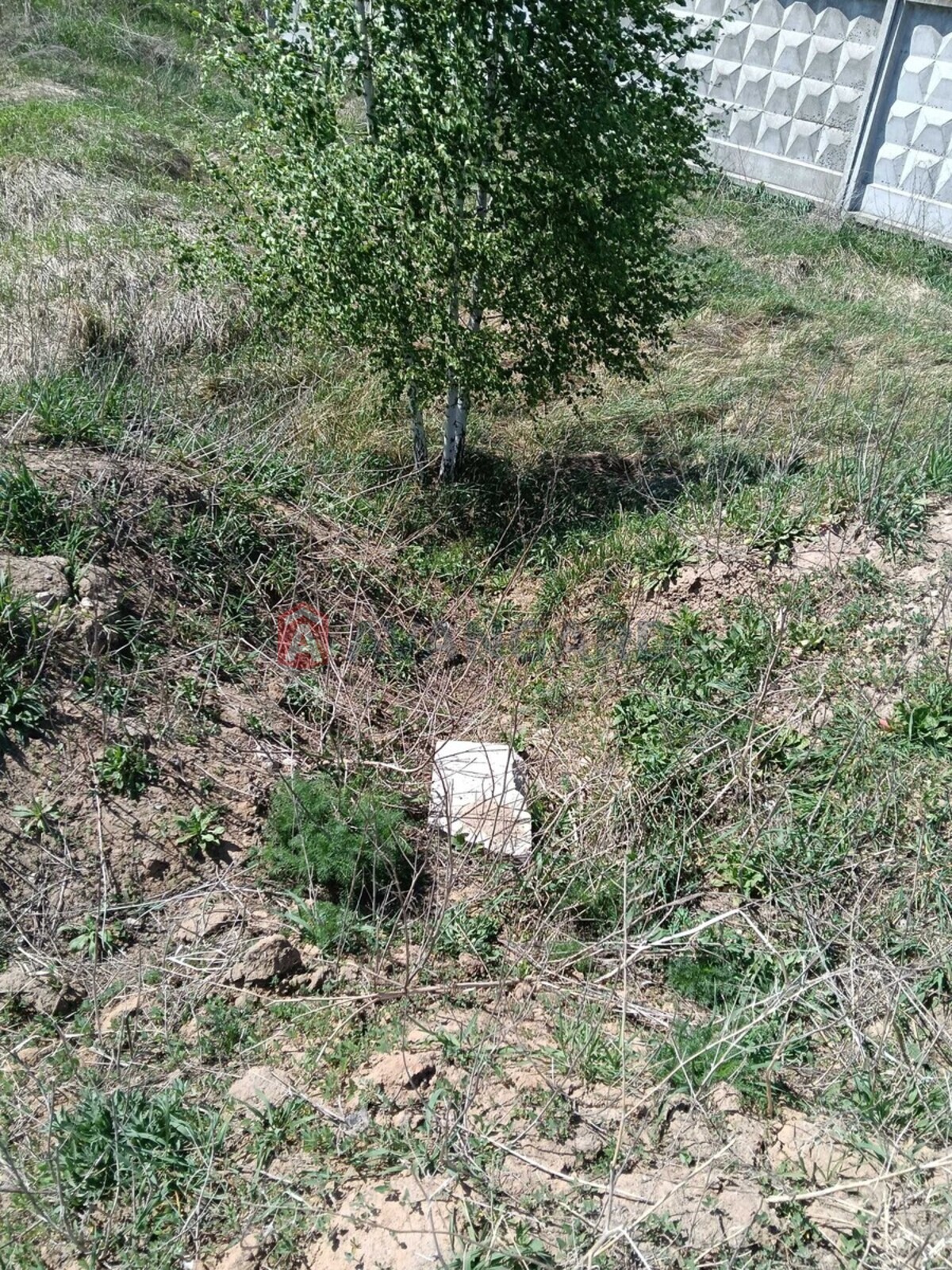 Земельна ділянка фото 6 Земельна ділянка фото 6