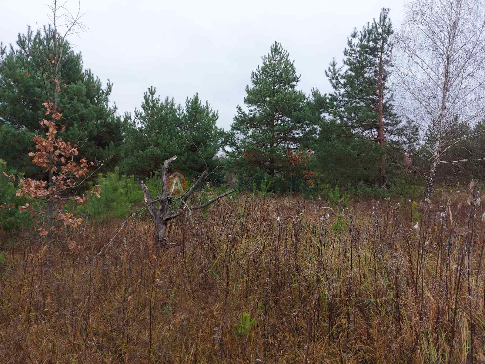 Земельна ділянка фото 8 Земельна ділянка фото 8