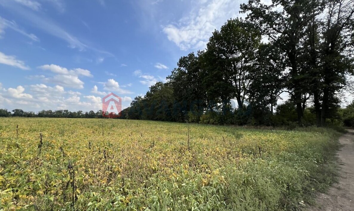 Земельный участок фото 4 Земельный участок фото 4