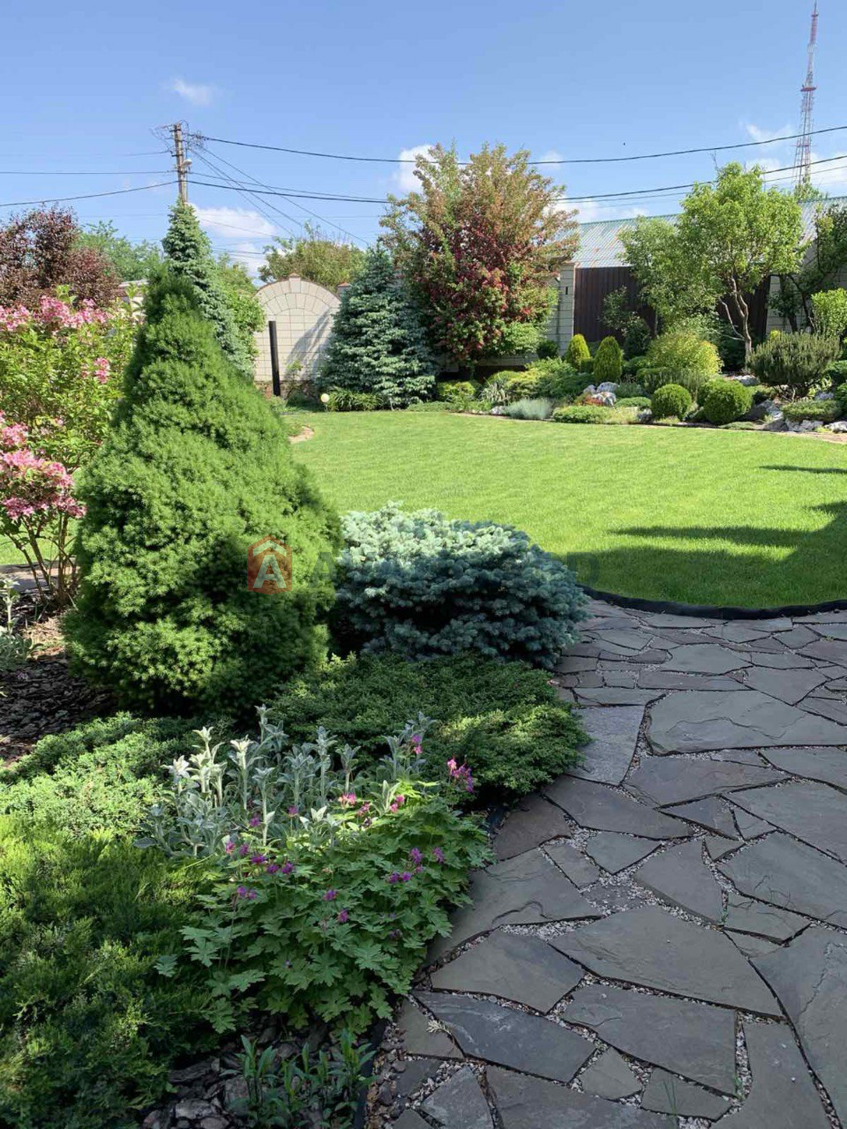 Земельный участок фото 3 Земельный участок фото 3