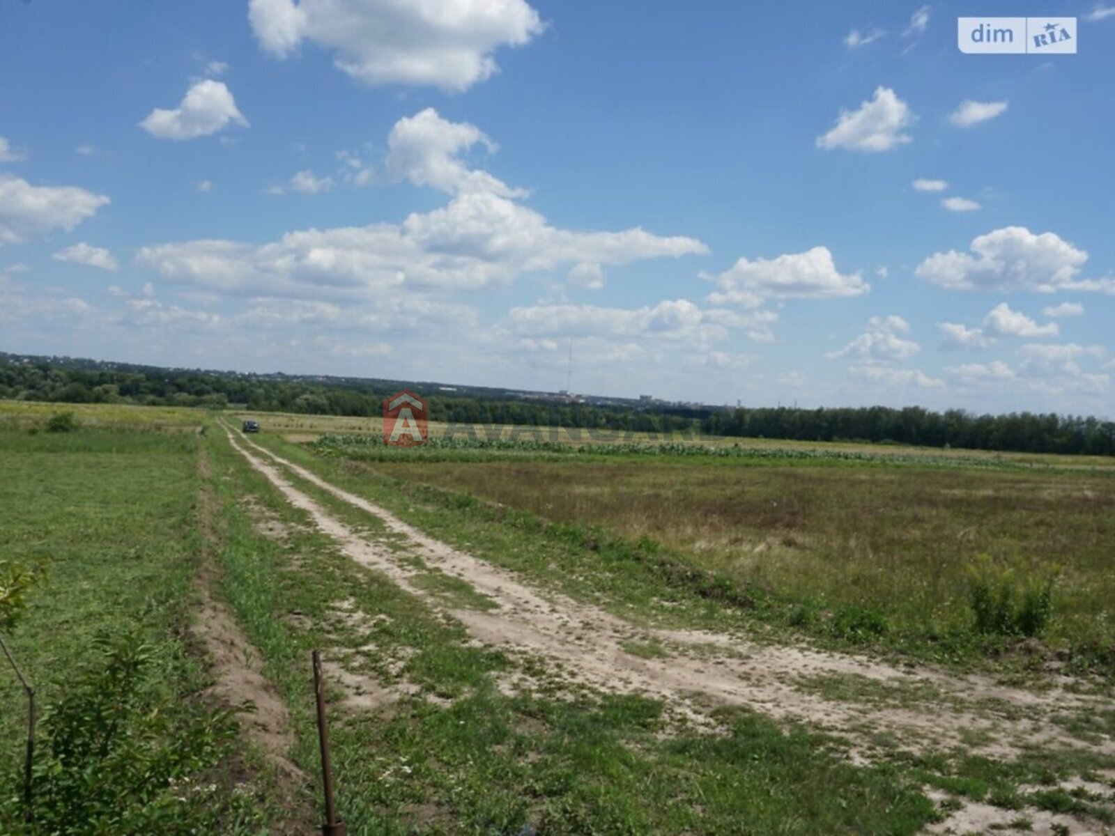 Земельна ділянка фото 2 Земельна ділянка фото 2