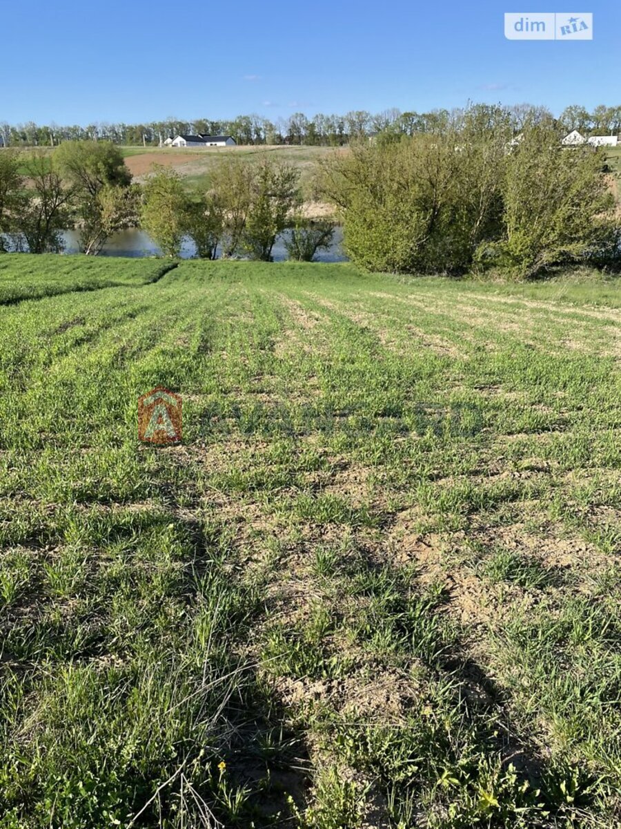 Земельный участок фото 3 Земельный участок фото 3