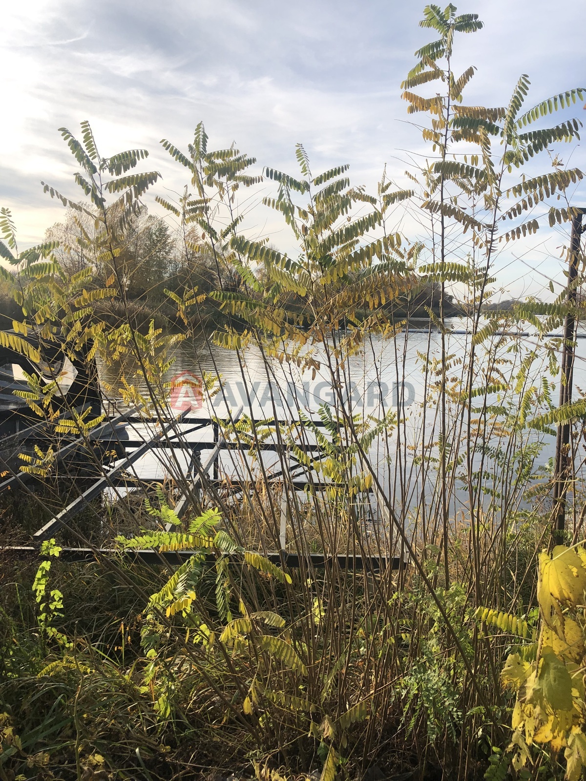 Земельный участок фото 6 Земельный участок фото 6