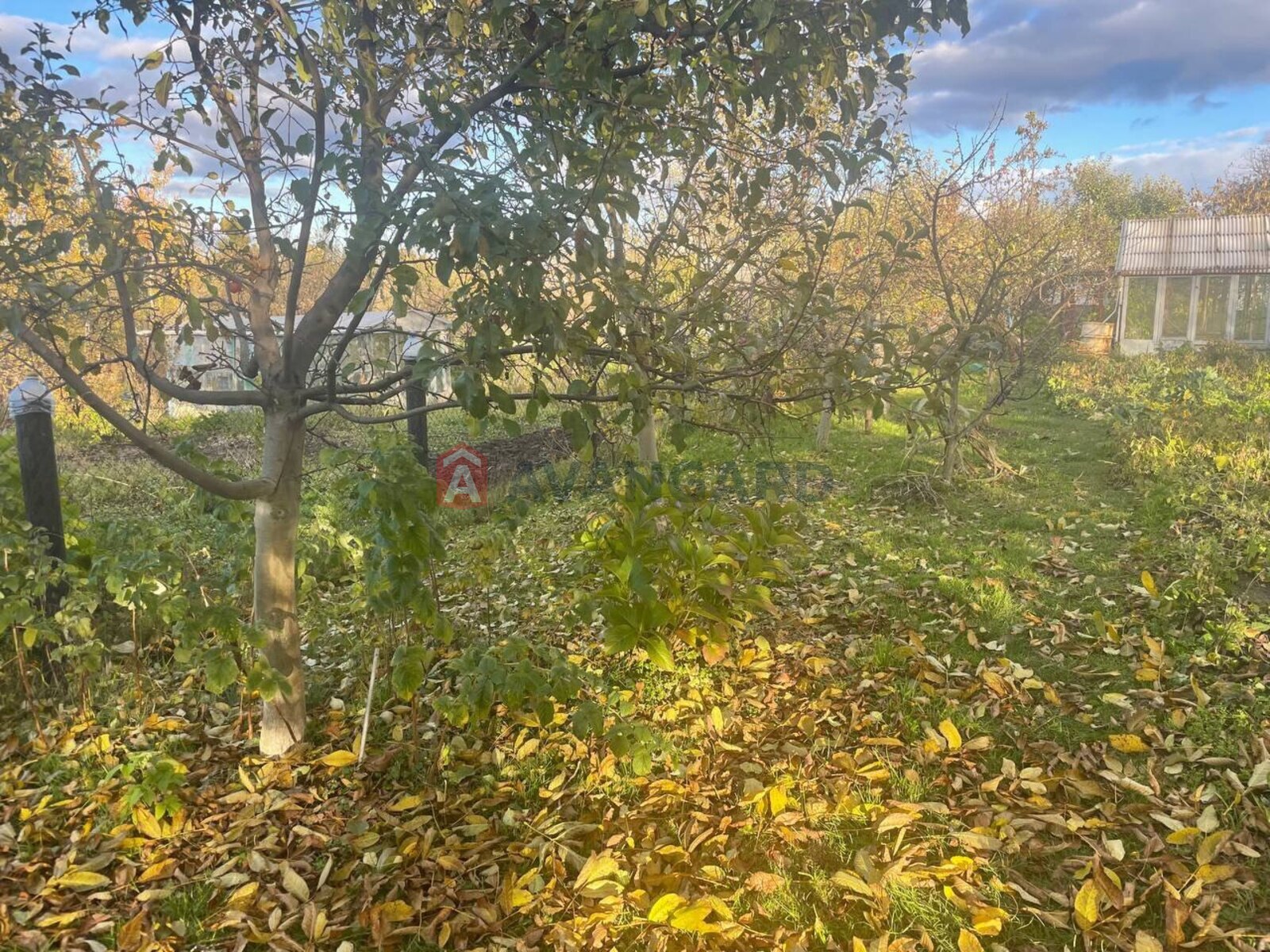 Земельна ділянка фото 3 Земельна ділянка фото 3