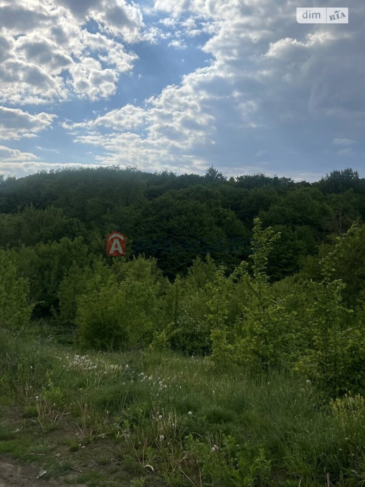 Земельна ділянка фото 7 Земельна ділянка фото 7