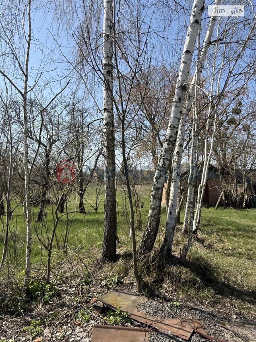 Земельна ділянка фото 8 Земельна ділянка фото 8