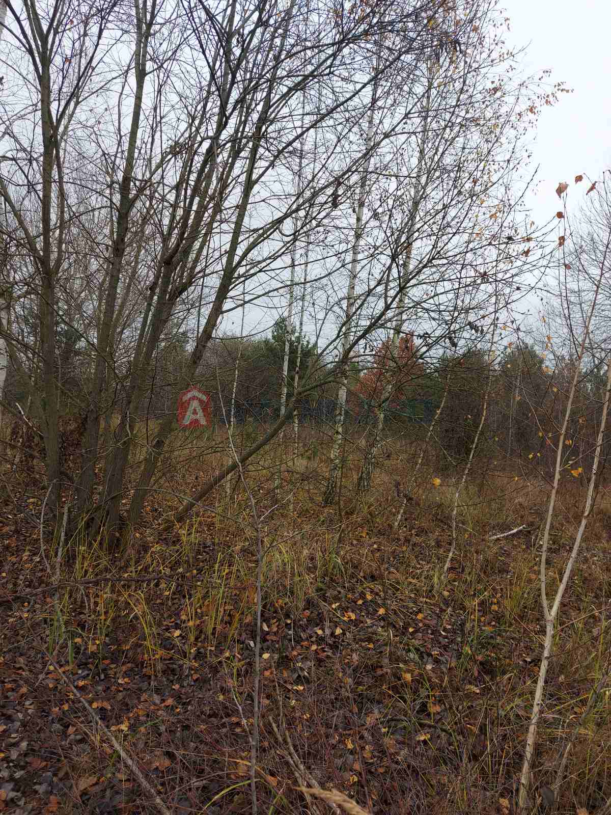 Земельна ділянка фото 6 Земельна ділянка фото 6