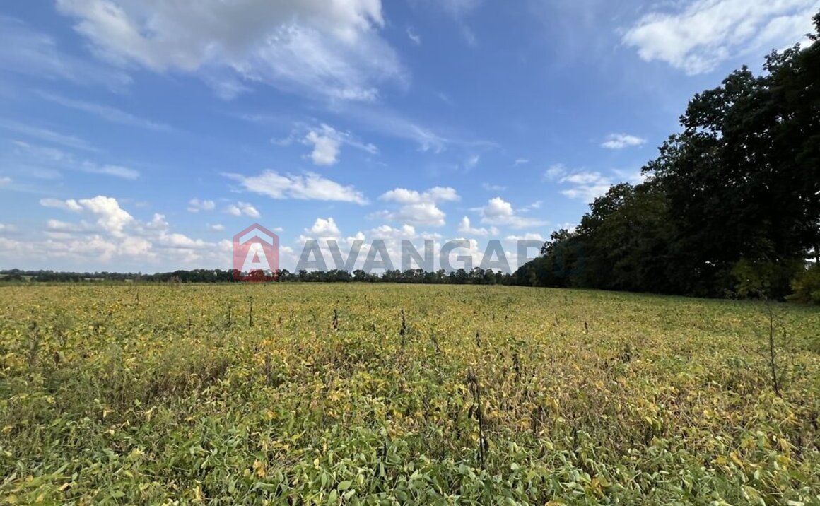 Земельный участок фото 5 Земельный участок фото 5