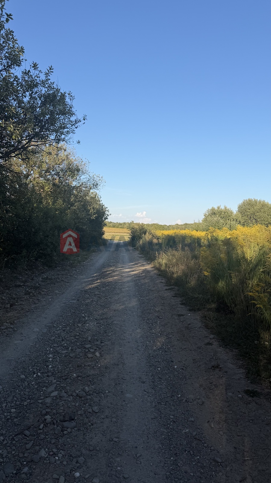 Земельна ділянка фото 3 Земельна ділянка фото 3