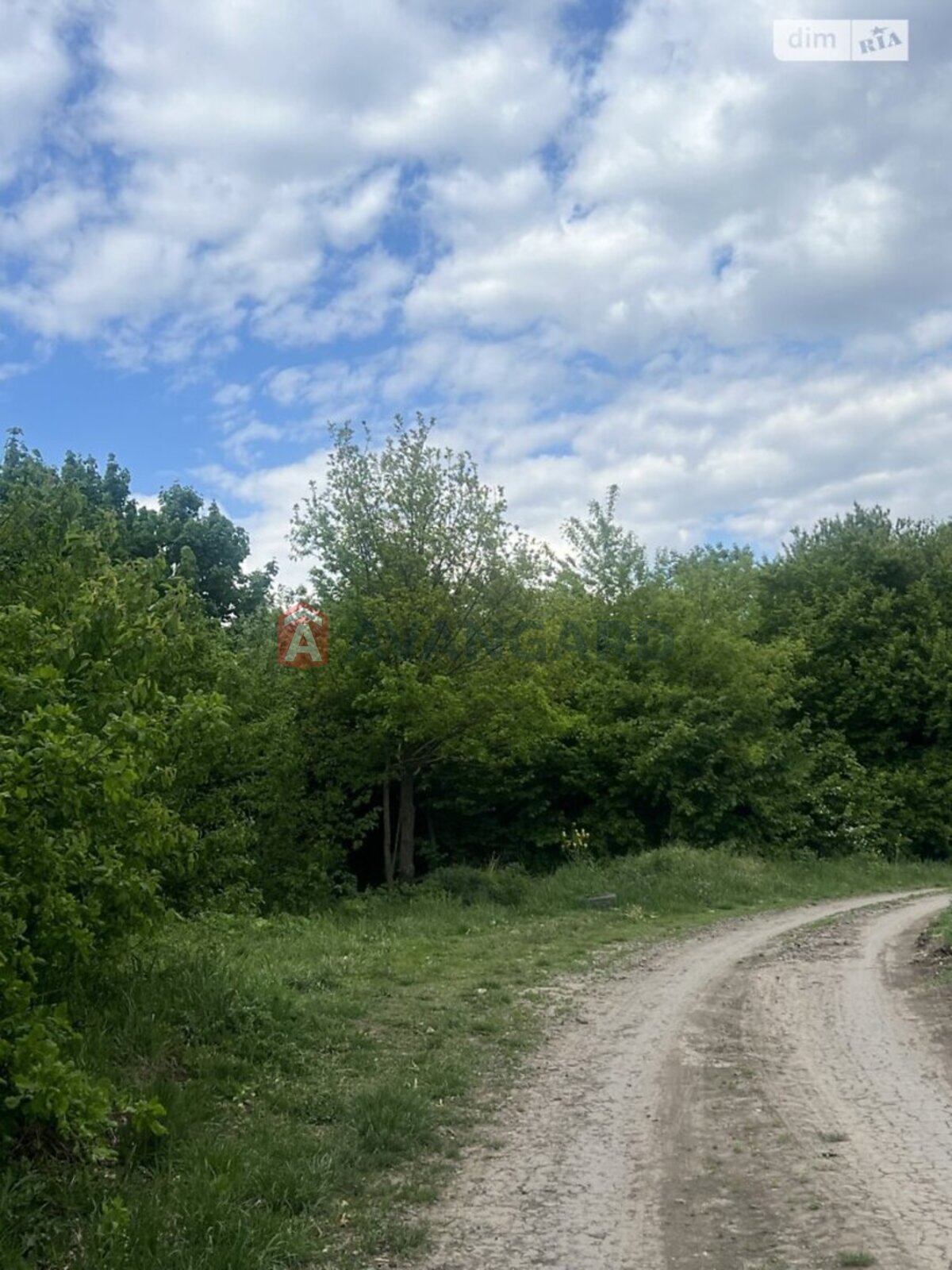 Земельна ділянка фото 6 Земельна ділянка фото 6