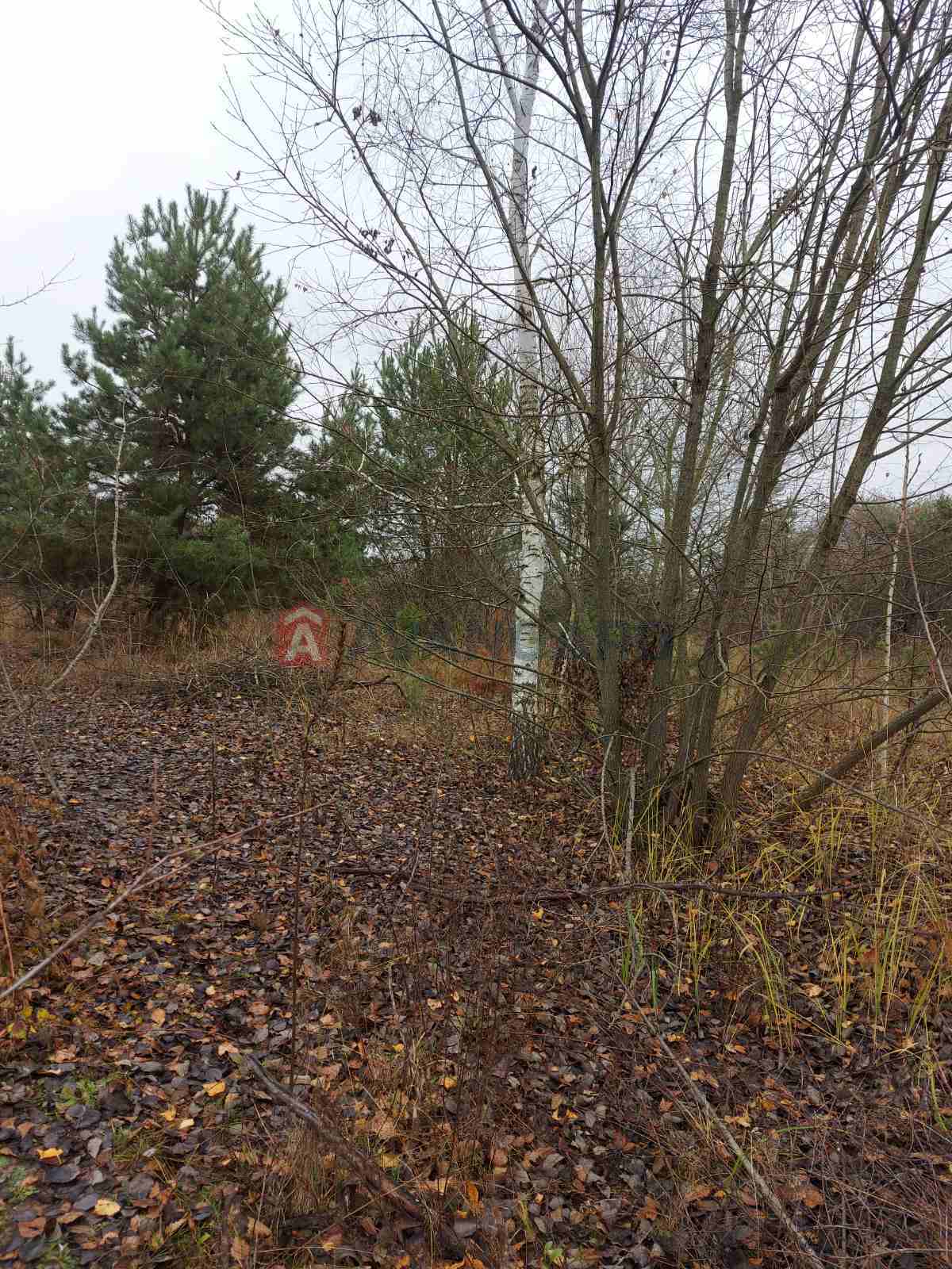 Земельна ділянка фото 11 Земельна ділянка фото 11