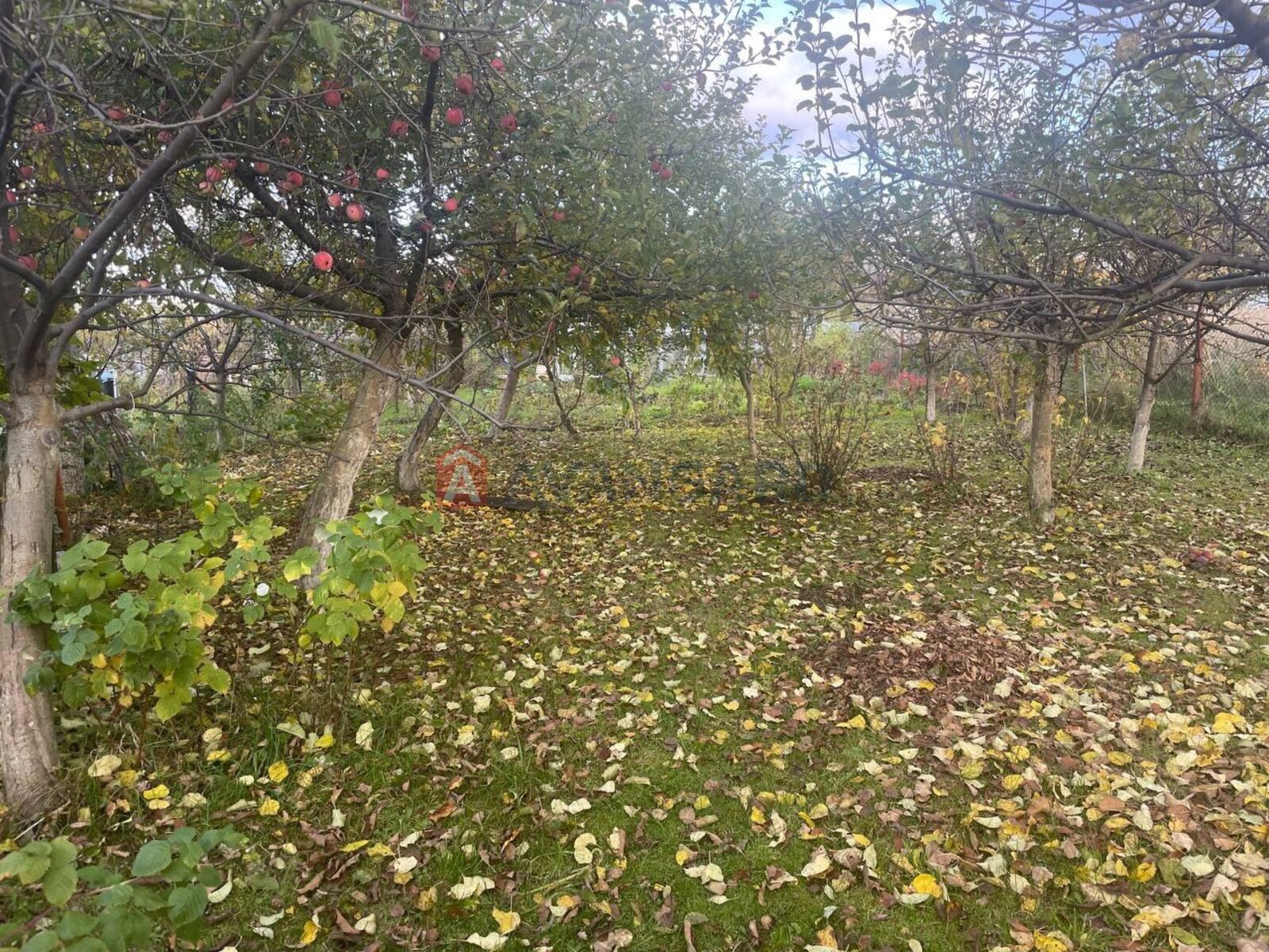 Земельна ділянка фото 1 Земельна ділянка фото 1