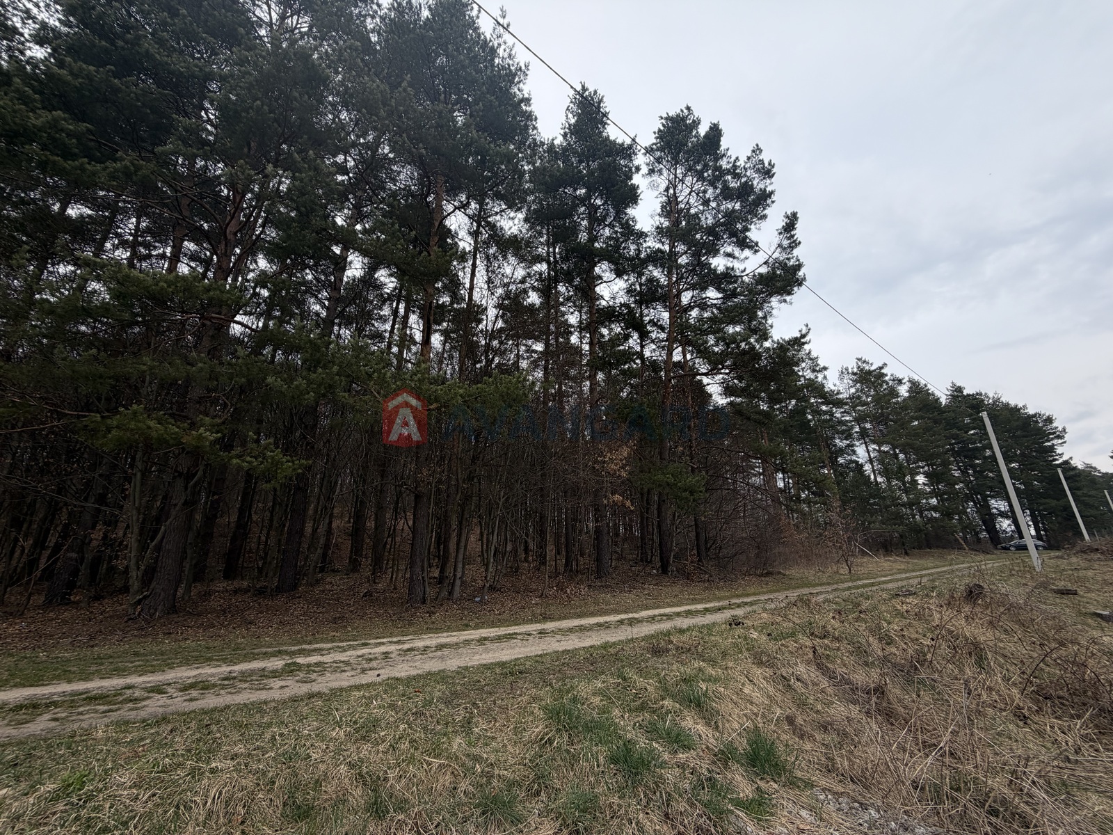 Земельна ділянка фото 3 Земельна ділянка фото 3