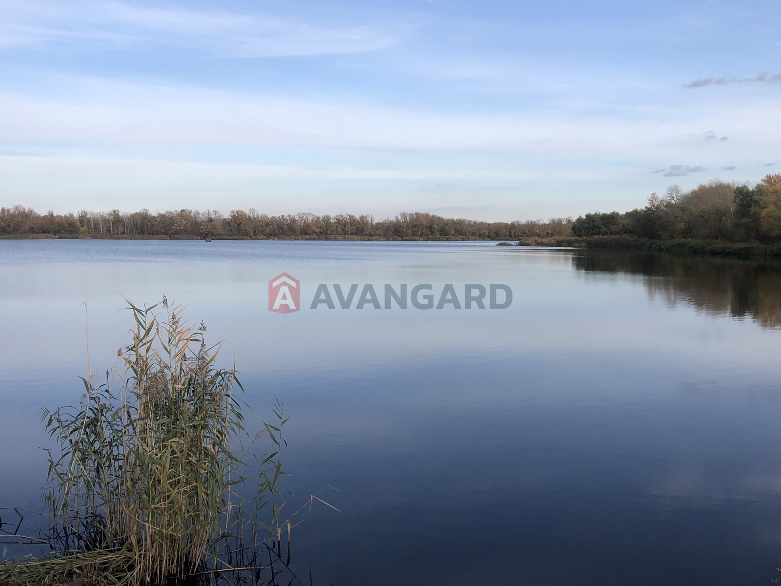 Земельный участок фото 16 Земельный участок фото 16